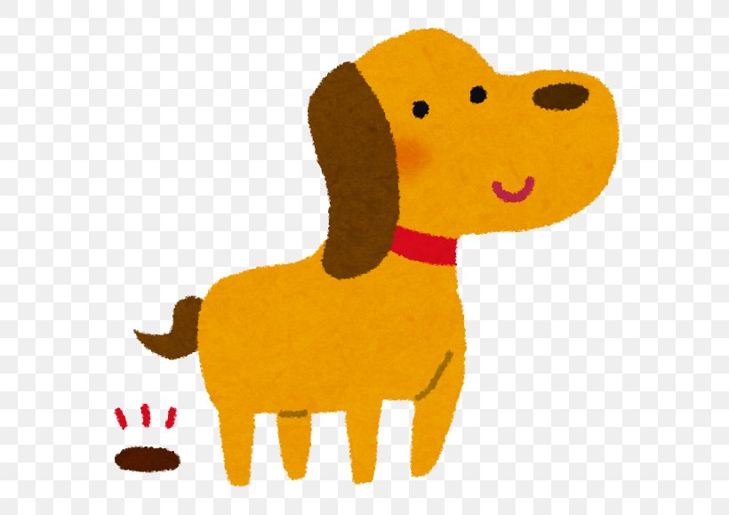 Poodle Akita Shiba Inu Puppy Dog Food, PNG, 605x579px, Poodle, Akita, Anjing Jepun, Carnivoran, Coprophagia Download Free