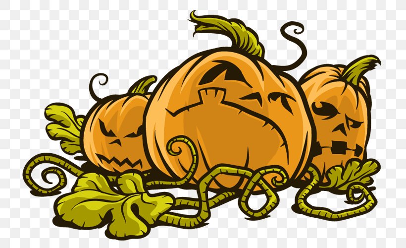 Pumpkin Insect Yellow Clip Art, PNG, 750x500px, Pumpkin, Art, Artwork, Carnivora, Carnivoran Download Free