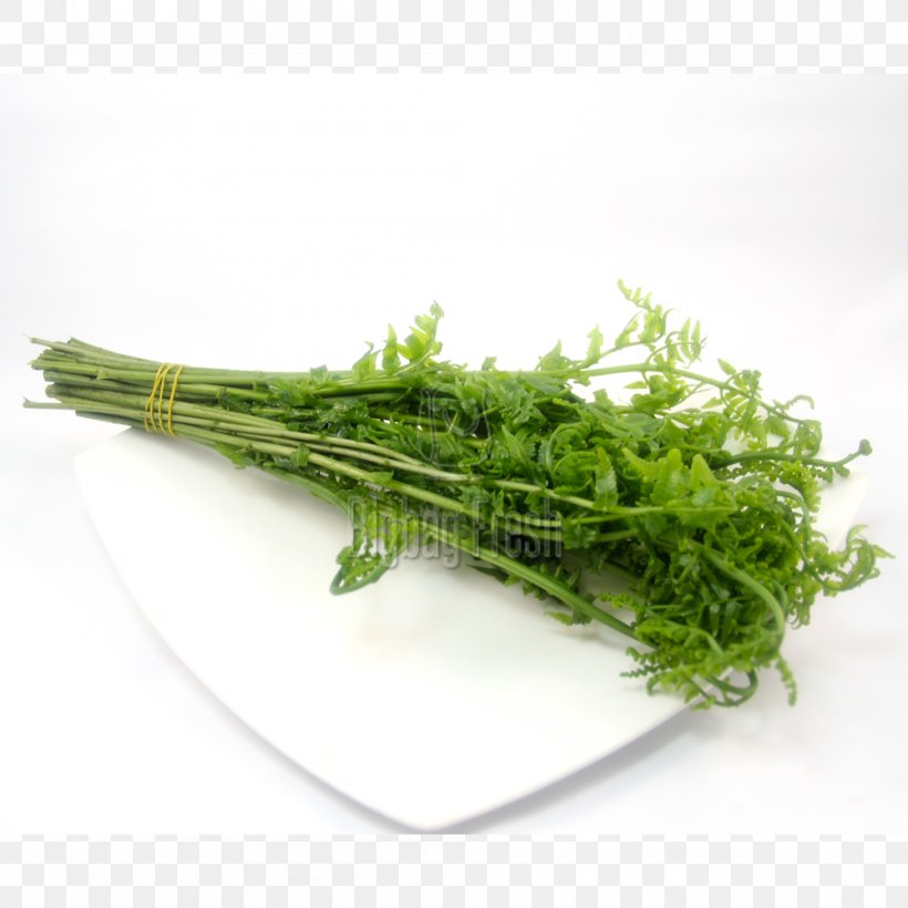 Spinach Herb Rapini Fennel, PNG, 1000x1000px, Spinach, Fennel, Herb, Leaf Vegetable, Rapini Download Free