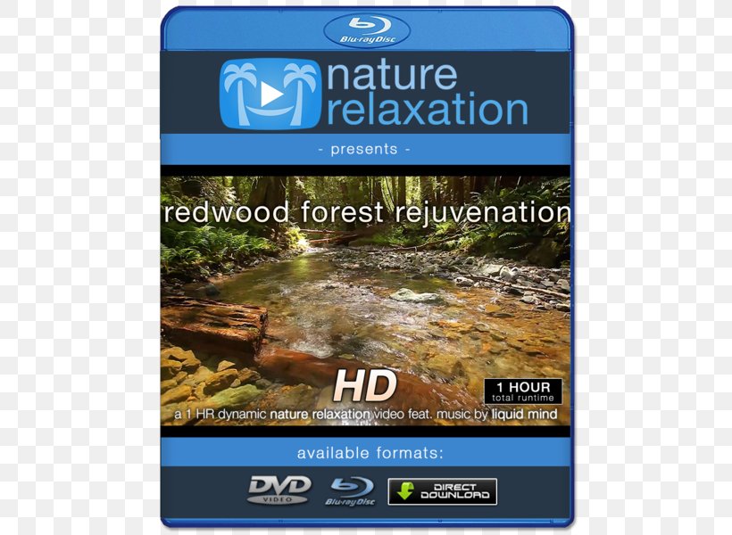 Blu-ray Disc 4K Resolution Ultra-high-definition Television 1080p, PNG, 600x600px, Watercolor, Cartoon, Flower, Frame, Heart Download Free