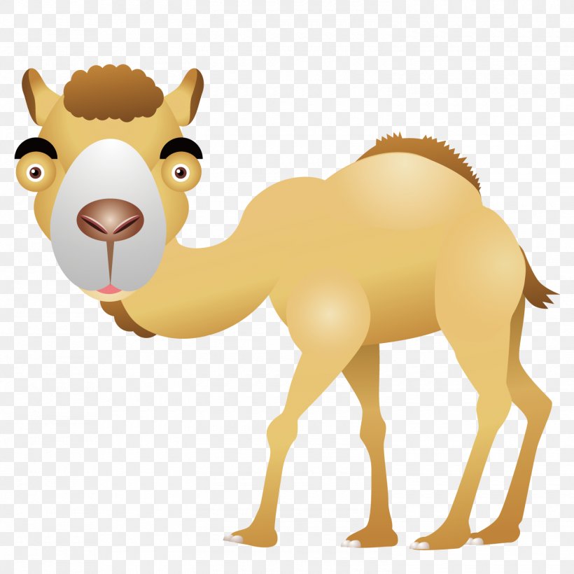 Camel Desert Computer File, PNG, 1500x1501px, Camel, Arabian Camel, Camel Like Mammal, Cartoon, Desert Download Free