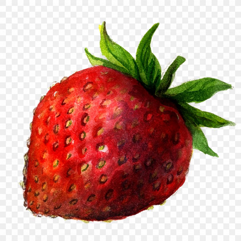 Drawing Berry Painting Illustration, PNG, 2000x2000px, Drawing, Accessory Fruit, Berry, Food, Fruit Download Free