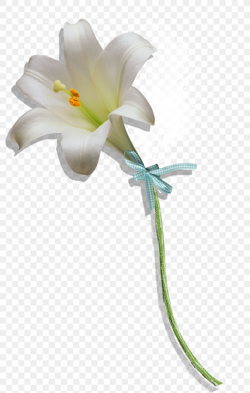 Floral Design Petal Flower, PNG, 2142x3364px, Watercolor, Cartoon, Flower, Frame, Heart Download Free