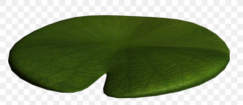 Leaf Green Angle, PNG, 1382x598px, Leaf, Grass, Green, Plant Download Free