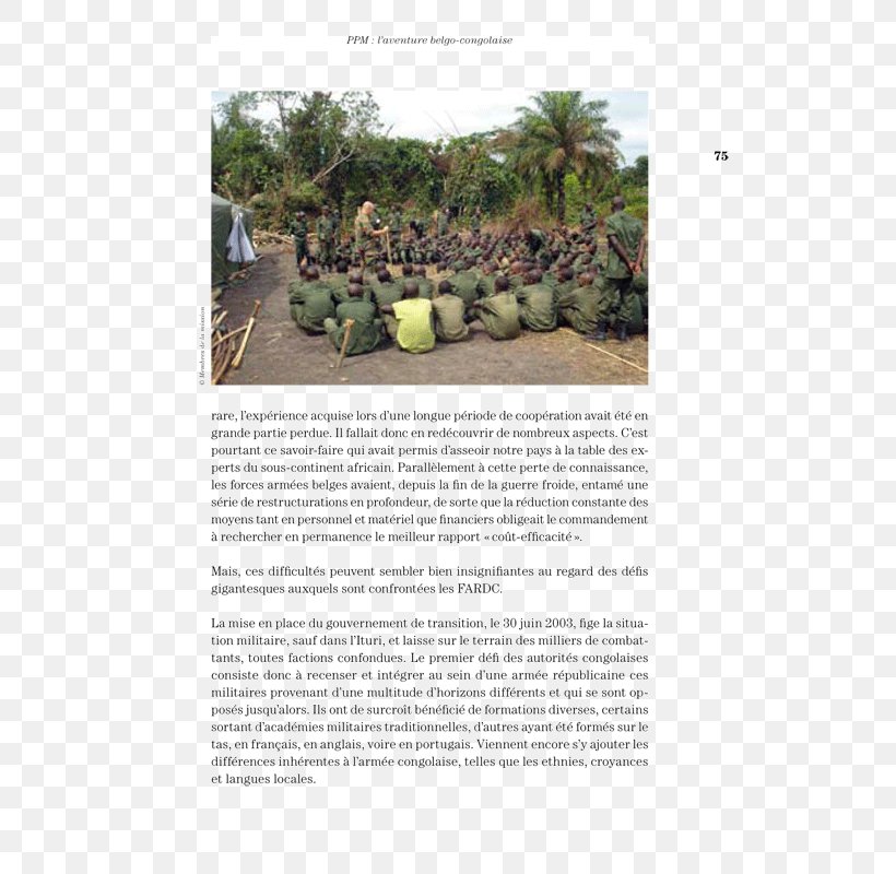 Plant Community Soil Flora Tree, PNG, 550x800px, Plant Community, Community, Document, Flora, Grass Download Free