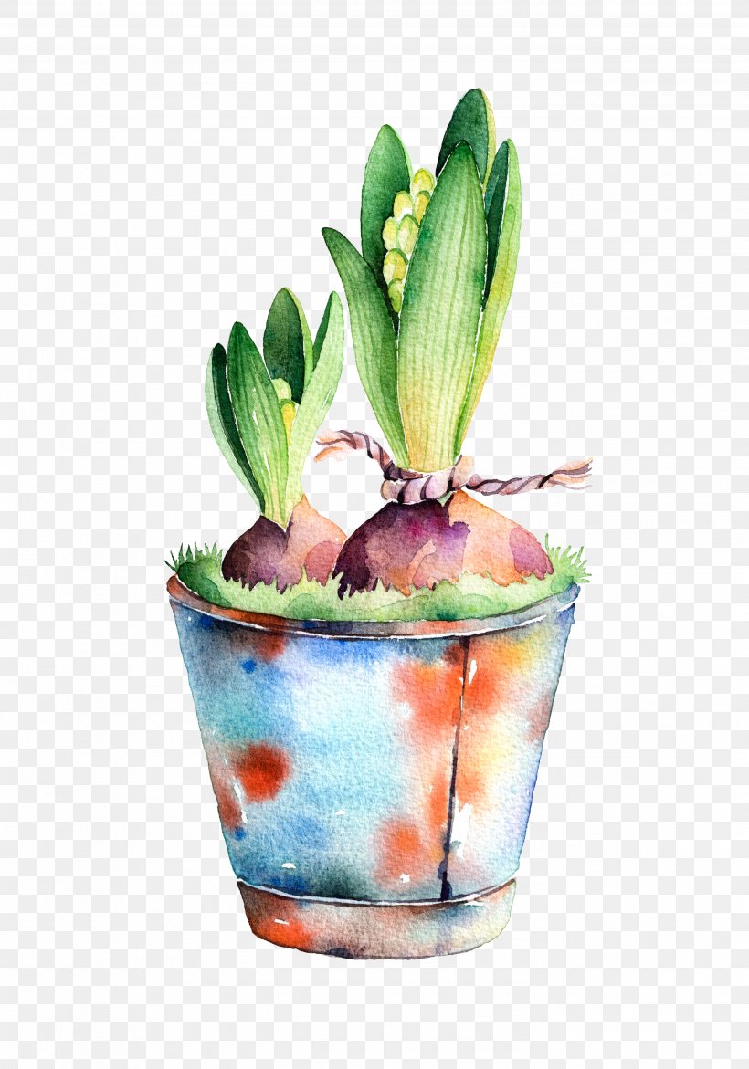Stock Photography Watercolor Painting Hyacinth Illustration, PNG, 2800x4000px, Stock Photography, Bulb, Cocktail Garnish, Drink, Flower Download Free