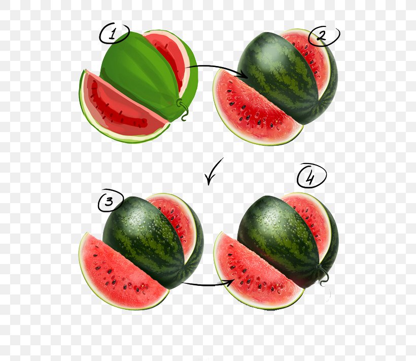 Watermelon Painting Sketch, PNG, 647x711px, Watermelon, Citrullus, Cucumber Gourd And Melon Family, Deviantart, Diet Food Download Free