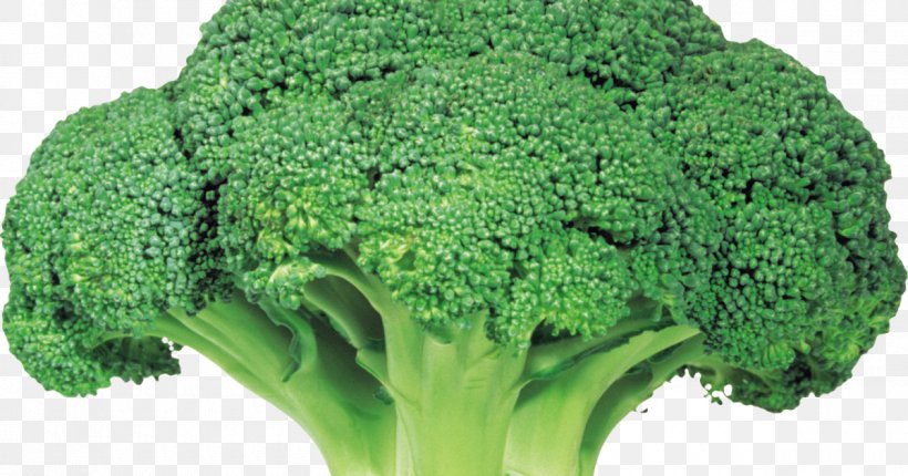 Broccoli Vegetable Rapini Food, PNG, 1200x630px, Broccoli, Beetroot, Brassica Oleracea, Broccolini, Cabbage Download Free