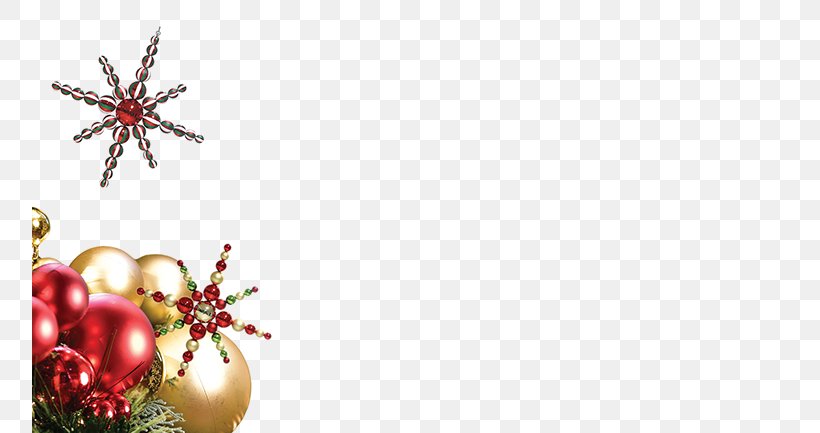 Christmas Tree Christmas Ornament Barcana Christmas Decoration, PNG, 755x433px, Christmas Tree, Branch, Christmas, Christmas Decoration, Christmas Lights Download Free