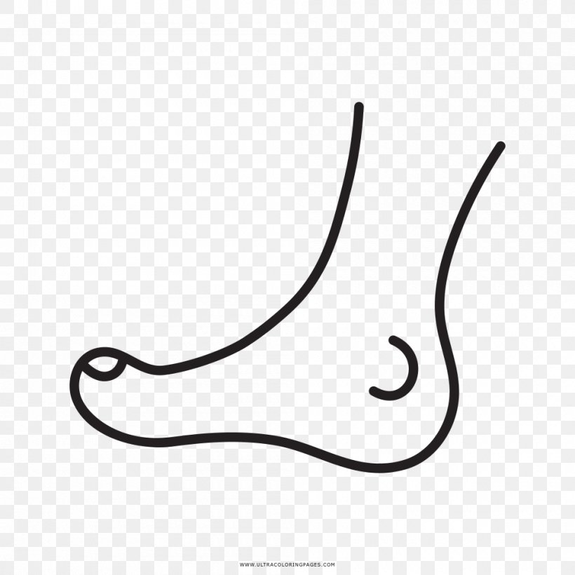 Coloring Book Drawing Foot, PNG, 1000x1000px, Coloring Book, Animal, Ausmalbild, Black, Black And White Download Free