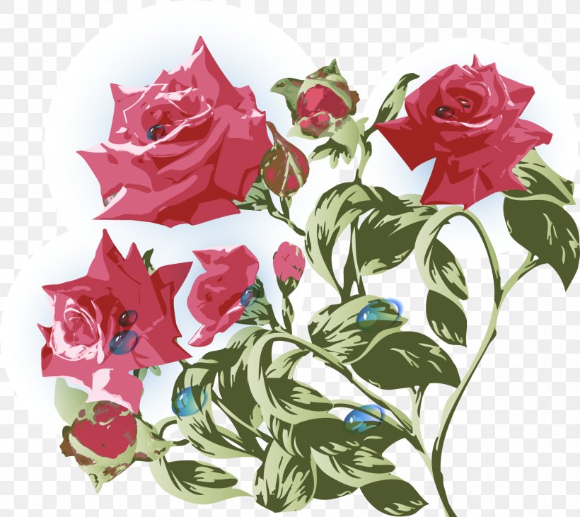 Garden Roses Beach Rose Centifolia Roses Flower, PNG, 1789x1597px, Garden Roses, Beach Rose, Centifolia Roses, Cut Flowers, Floral Design Download Free