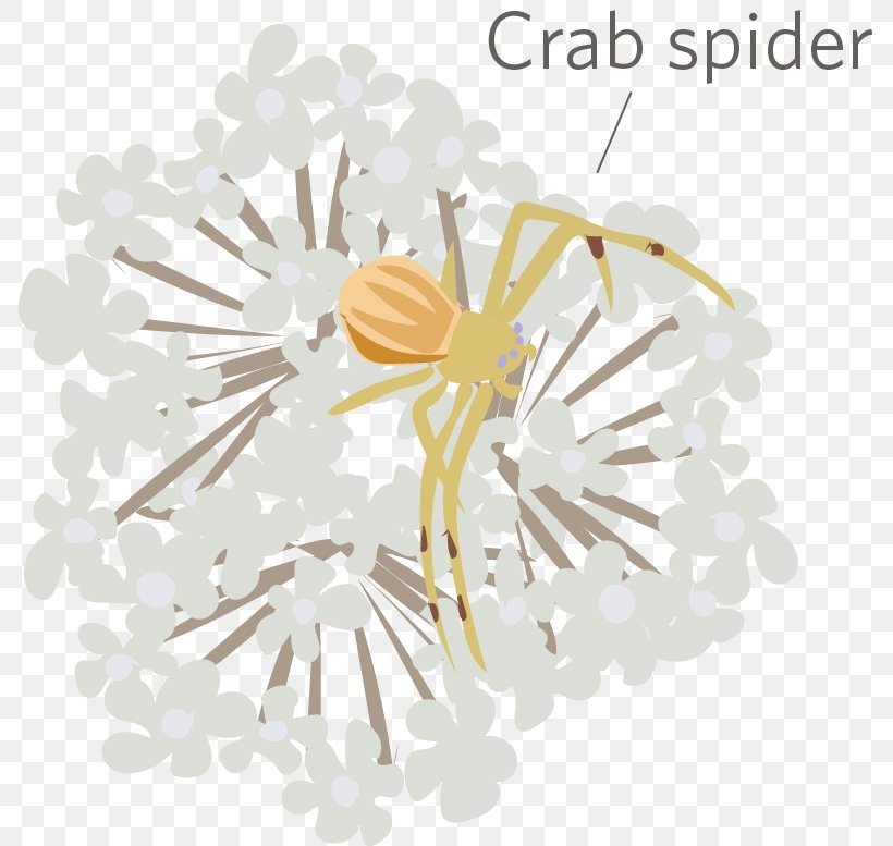 Line Organism, PNG, 786x777px, Organism, Yellow Download Free