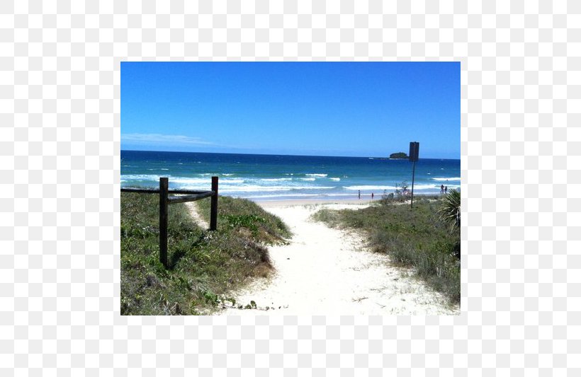 Shore Sea Beach Land Lot Coast, PNG, 800x533px, Shore, Bay, Beach, Coast, Coastal And Oceanic Landforms Download Free