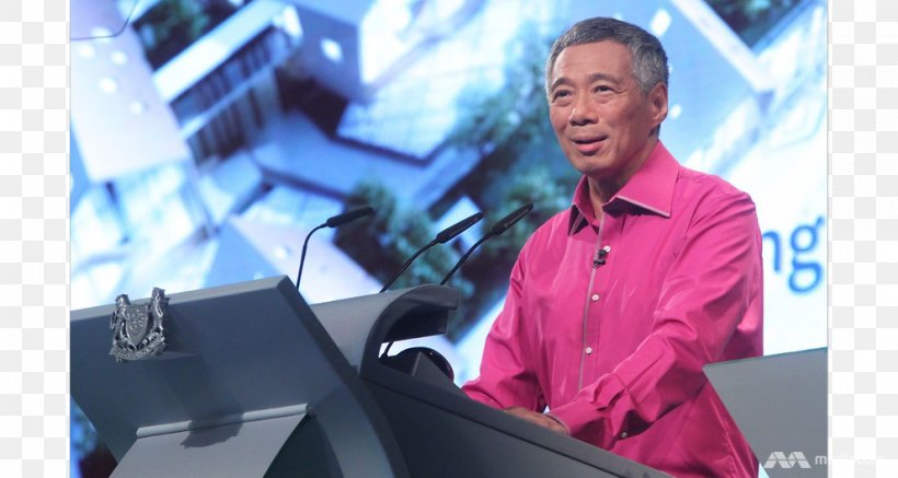 Singaporean Presidential Election, 2017 Prime Minister Of Singapore, PNG, 991x529px, Singapore, Communication, Election, Energy, Expert Download Free