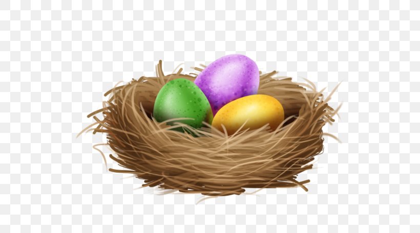 Easter Egg Background, PNG, 600x456px, Easter Bunny, Bird Nest, Blog, Chicken, Drawing Download Free