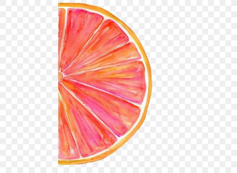 Grapefruit Watercolor Painting Watercolour Tips Art, PNG, 600x600px, Grapefruit, Art, Blue, Citrus, Color Download Free