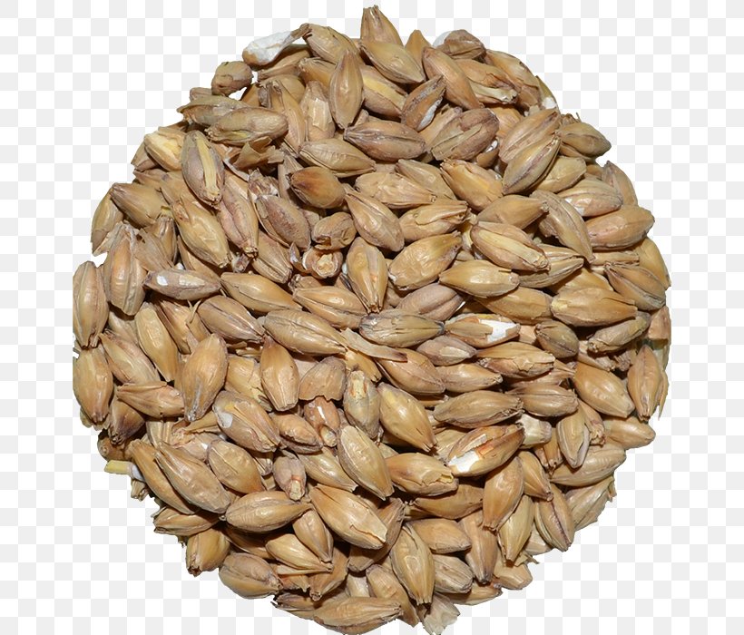 Oat Beer Malt Cereal Vegetarian Cuisine, PNG, 700x700px, Oat, Adjuncts, Avena, Beer, Cereal Download Free