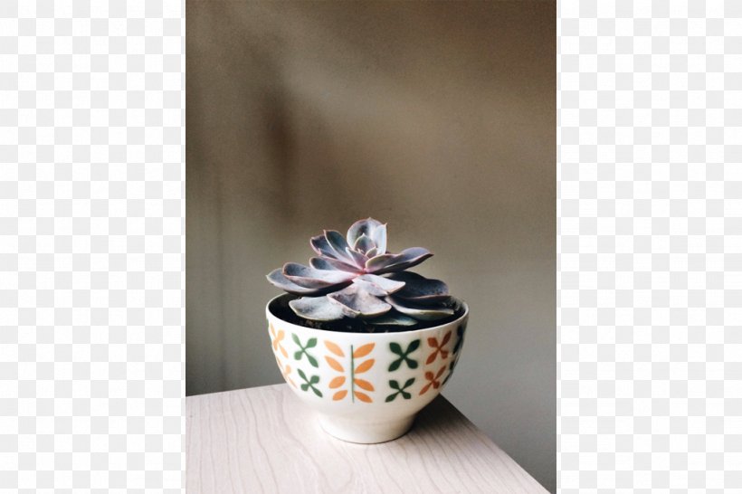 Saucer Porcelain Pottery Vase Cup, PNG, 1024x682px, Saucer, Ceramic, Cup, Dishware, Porcelain Download Free