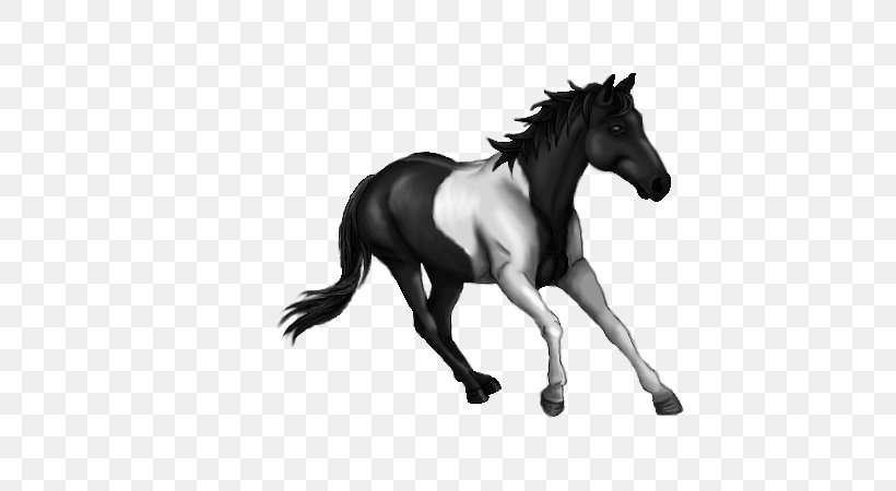 Mane Mustang Stallion Mare Halter, PNG, 600x450px, Mane, Animal Figure, Animation, Blackandwhite, Bridle Download Free
