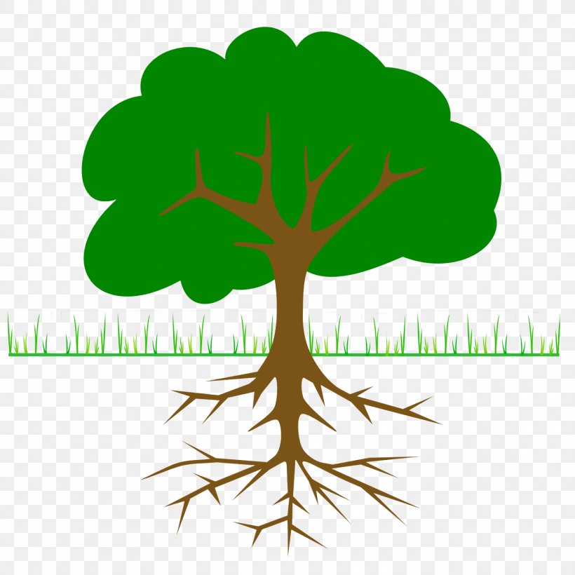 The Great Kapok Tree Clip Art, PNG, 1500x1500px, Tree, Branch, Christmas Tree, Family Tree, Grass Download Free