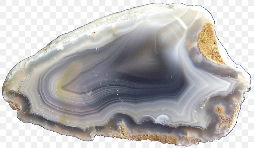 Clam Mineral Jaw, PNG, 818x480px, Clam, Clams Oysters Mussels And Scallops, Crystal, Jaw, Mineral Download Free