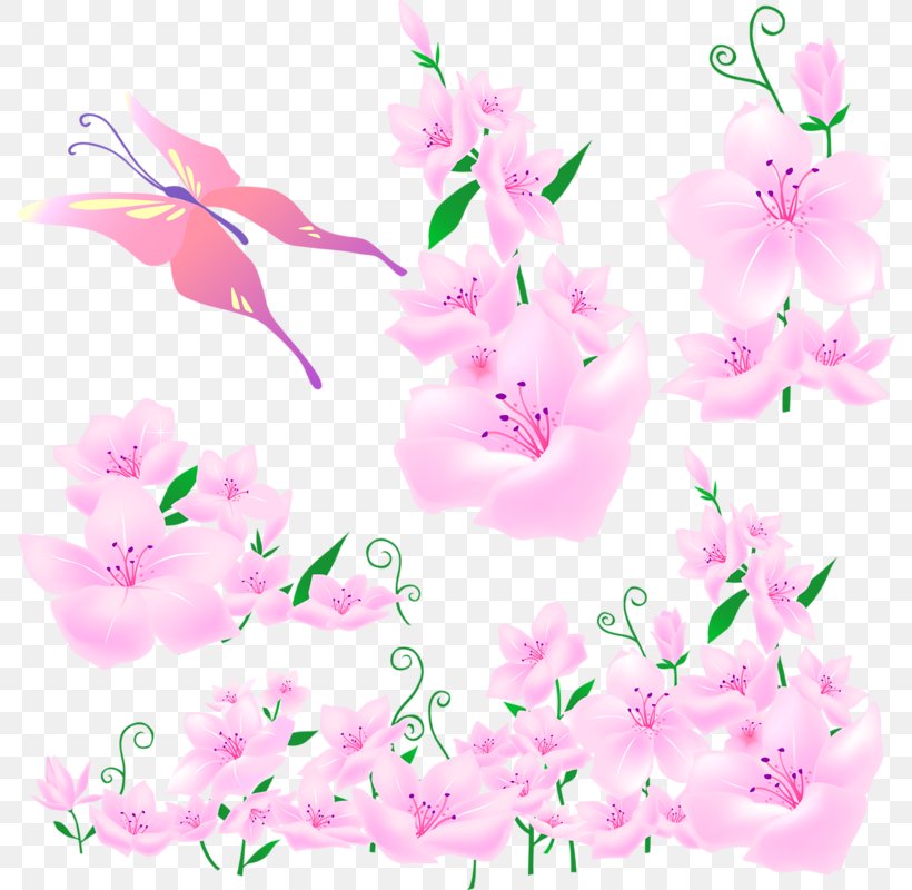 Download, PNG, 790x800px, Flower, Azalea, Blossom, Branch, Cherry Blossom Download Free