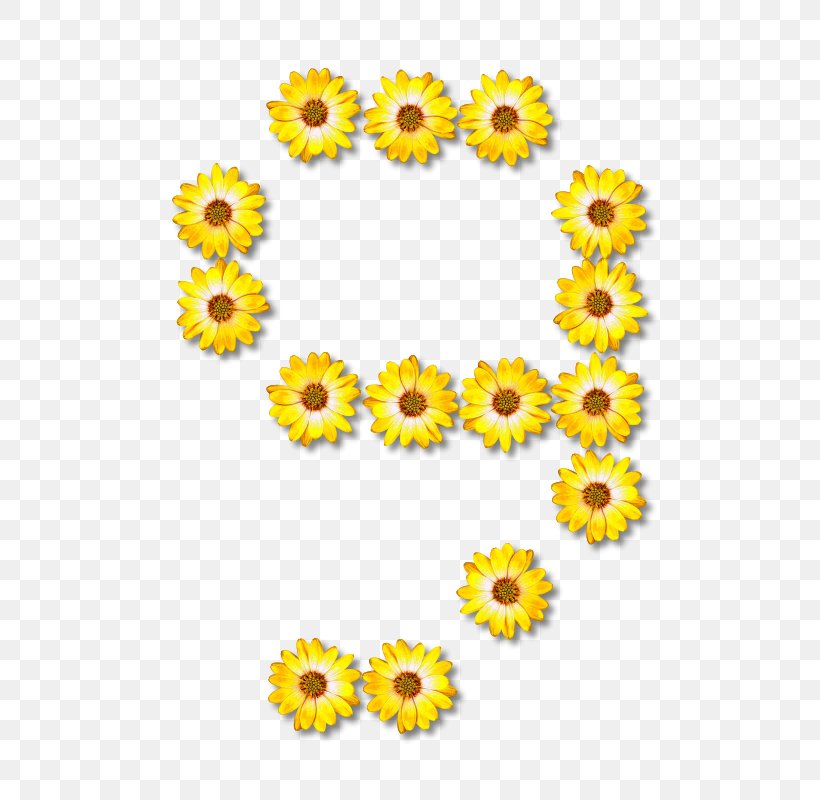 Alphabet Letter Flower, PNG, 572x800px, Alphabet, Chrysanthemum, Chrysanths, Cut Flowers, Daisy Family Download Free