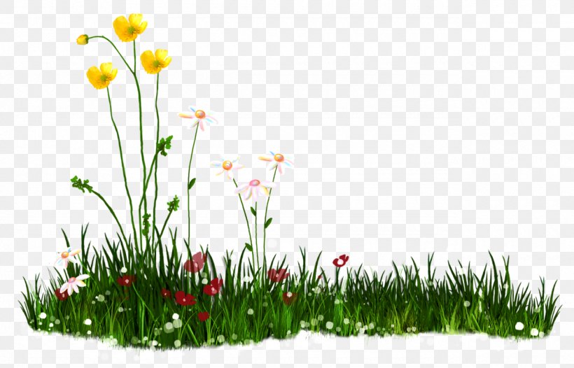 Android Download Clip Art, PNG, 1280x822px, Android, Flower, Flowering Plant, Grass, Grass Family Download Free