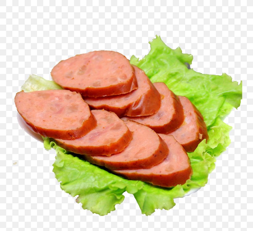 Bratwurst Sausage Hot Dog Ham Salami, PNG, 750x750px, Bratwurst, Andouille, Back Bacon, Bockwurst, Bologna Sausage Download Free