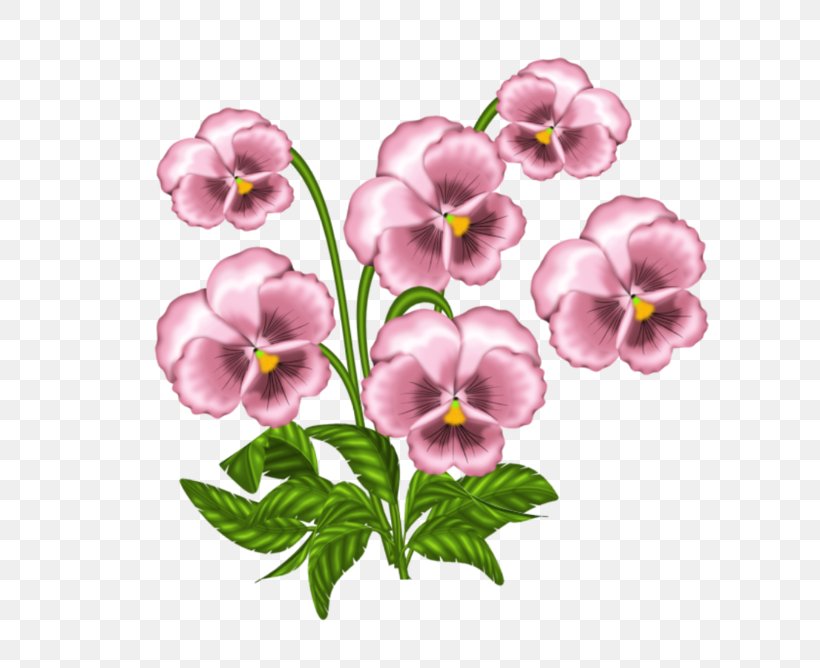 Clip Art African Violets Pansy Openclipart, PNG, 700x668px, African Violets, Common Blue Violet, Cut Flowers, Floral Design, Flower Download Free