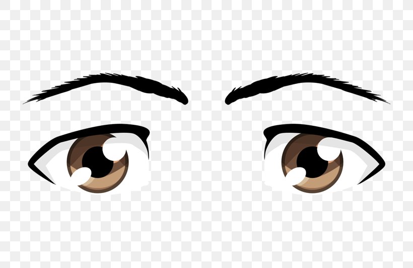 Eye Color Character Structure Homo Sapiens Eyebrow, PNG, 800x533px, Watercolor, Cartoon, Flower, Frame, Heart Download Free