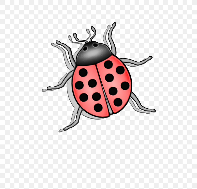 Insects Cartoon Ladybugs Pattern Membrane, PNG, 555x785px, Watercolor, Biology, Cartoon, Insects, Ladybugs Download Free