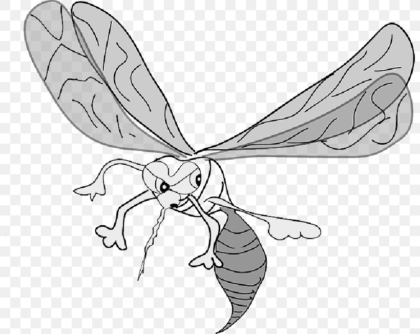 Mosquito Clip Art Vector Graphics Drawing, PNG, 800x651px, Mosquito, Blackandwhite, Cicada, Coloring Book, Culex Pipiens Download Free