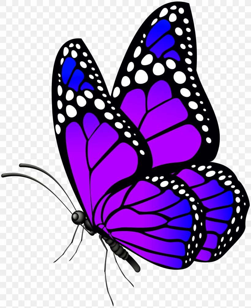 Butterfly Clip Art, PNG, 6521x8000px, Butterfly, Blue, Brush Footed Butterfly, Butterflies And Moths, Clip Art Download Free