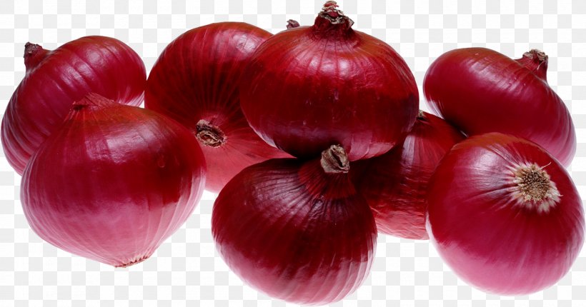 India Red Onion French Onion Soup Organic Food, PNG, 1600x840px, India, Cultivar, Export, Food, French Onion Soup Download Free