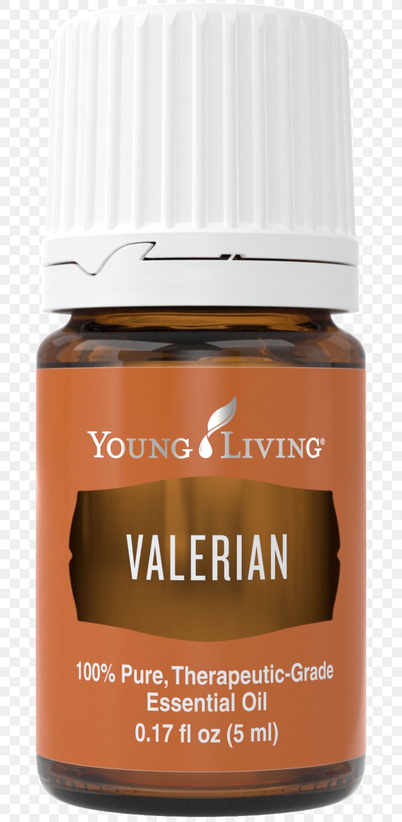 Essential Oil Cinnamon Young Living Flavor, PNG, 690x1676px, Essential Oil, Bark, Cinnamon, Citrus, Clove Download Free