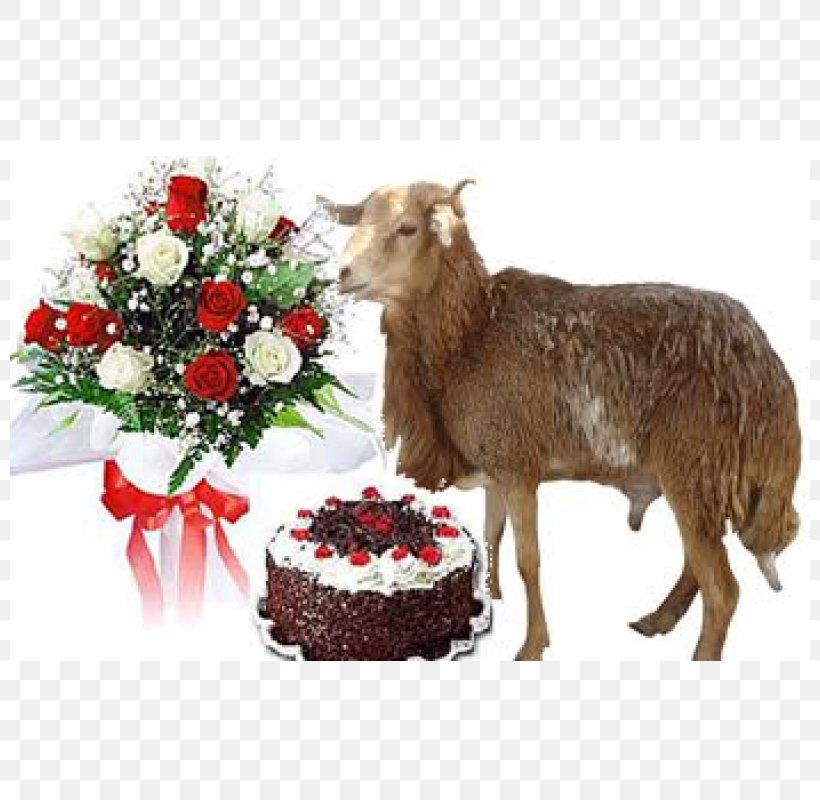 Flower Bouquet Floristry Rose Birthday Cake, PNG, 800x800px, Flower Bouquet, Birthday, Birthday Cake, Cattle Like Mammal, Chocolate Download Free