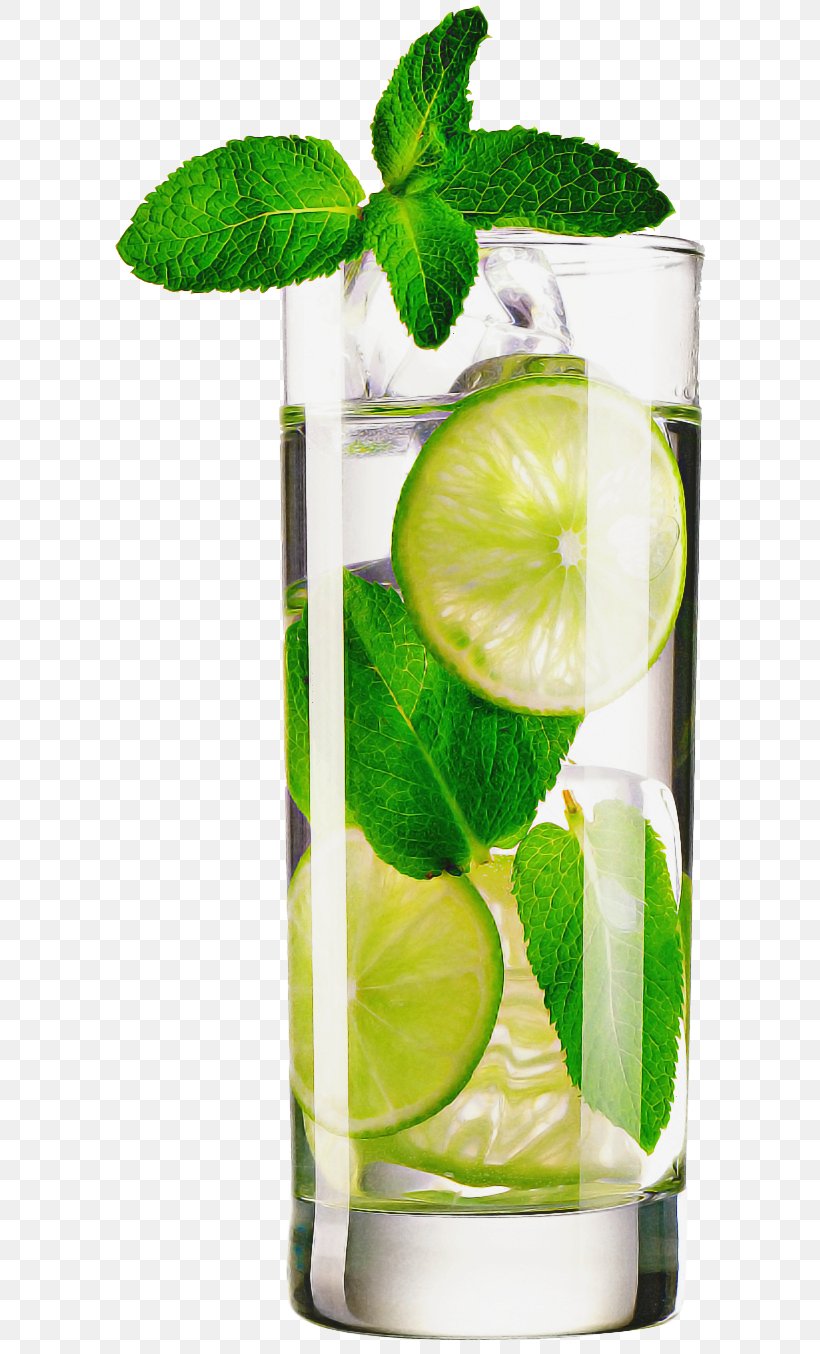Green Lime Key Lime Plant Highball Glass, PNG, 625x1354px, Green, Citrus, Cocktail Garnish, Highball Glass, Key Lime Download Free