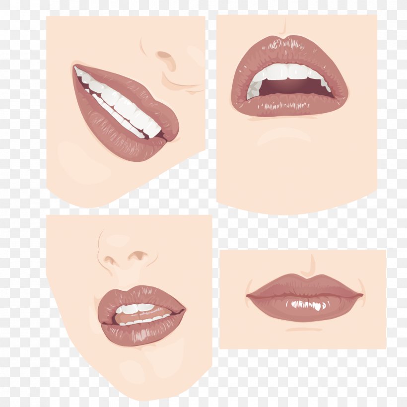 Lip Face Tooth, PNG, 1134x1134px, Lip, Cartoon, Cdr, Cheek, Chin Download Free