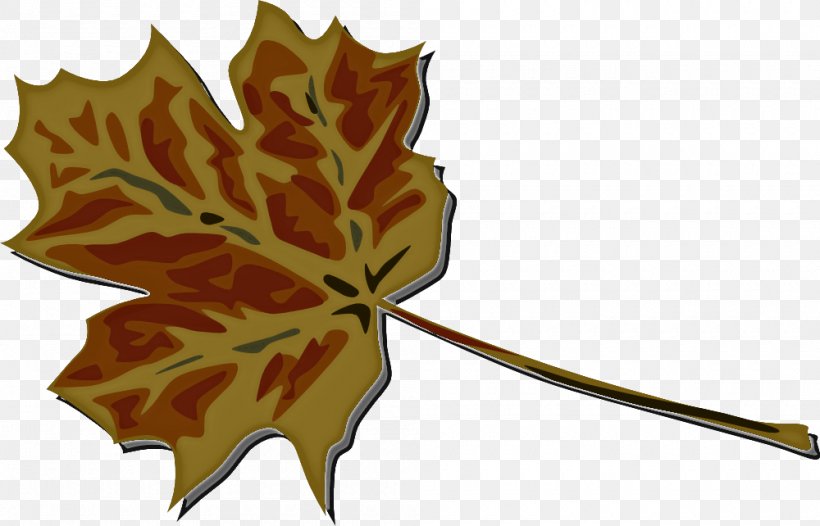 Maple Leaf, PNG, 1000x642px, Leaf, Black Maple, Flower, Maple Leaf, Plane Download Free