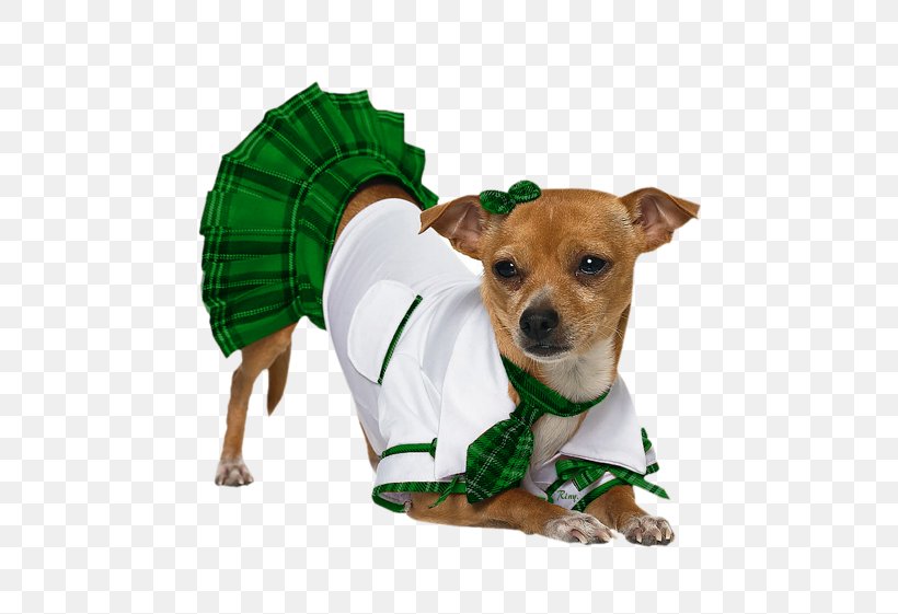 Puppy Chihuahua Pug Halloween Costume, PNG, 500x561px, Puppy, Carnivoran, Chihuahua, Clothing, Companion Dog Download Free
