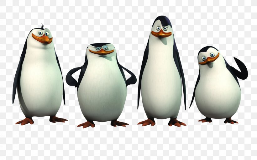 Rico Kowalski Skipper Penguin Madagascar, PNG, 1600x1000px, Rico, Beak, Bird, Dreamworks Animation, Film Download Free