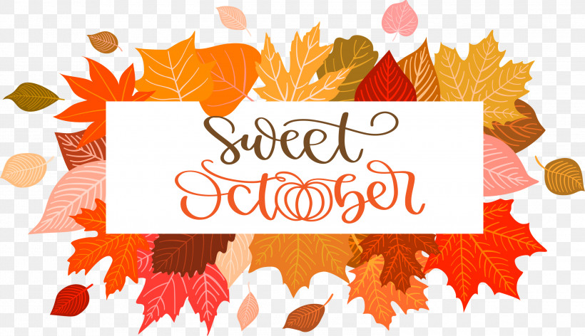 Sweet October October Autumn, PNG, 3000x1729px, October, Autumn, Biology, Fall, Leaf Download Free