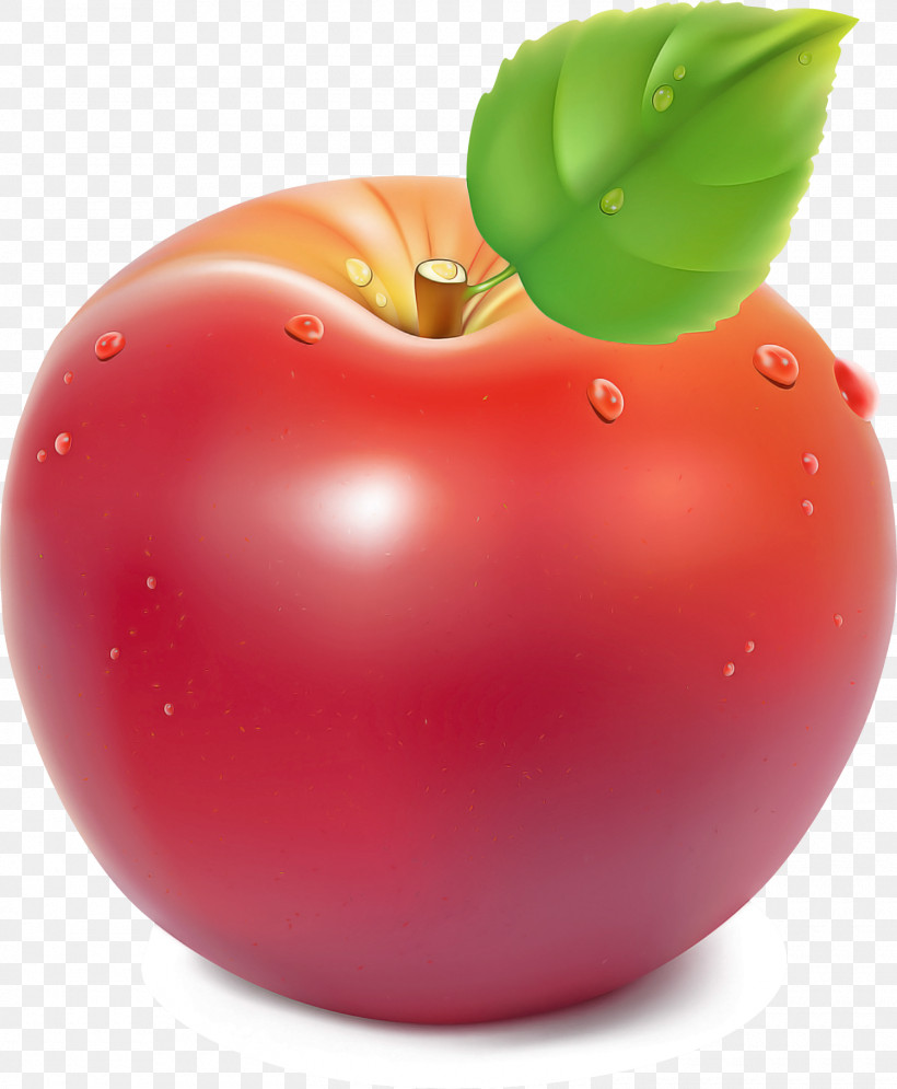 Tomato, PNG, 1500x1821px, Tomato, Apple, Biology, Genus, Local Food Download Free