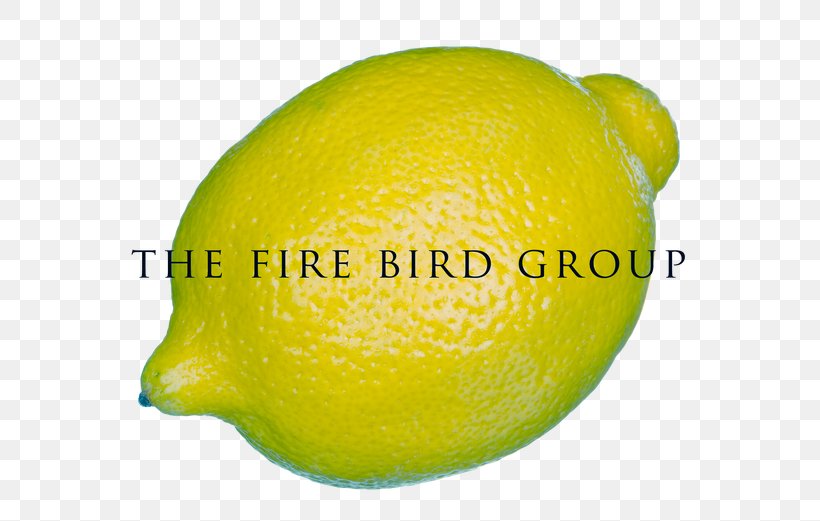 When Life Gives You Lemons, Make Lemonade Persian Lime, PNG, 600x521px, Lemon, Antioxidant, Citric Acid, Citron, Citrus Download Free