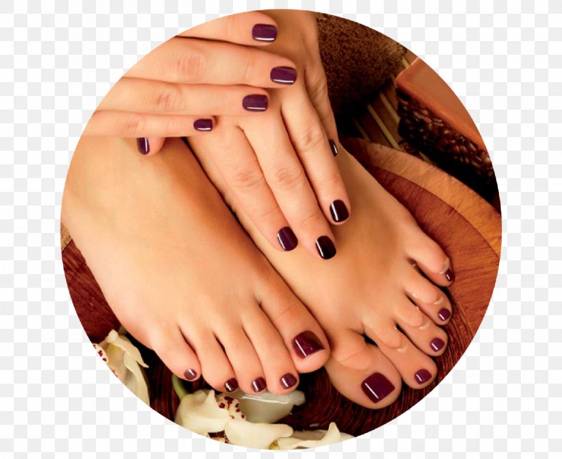 All Nails & Spa, Inc. Manicure Beauty Parlour Pedicure, PNG, 1355x1108px, Nail, Barber, Beauty, Beauty Parlour, Beauty Studio Download Free