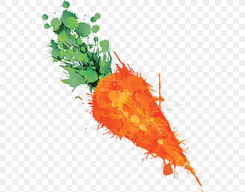 Cumbria Carrot Matey Boy Vegetable Writing, PNG, 540x643px, Cumbria, Art, Carrot, Food, Kevin Fegan Download Free