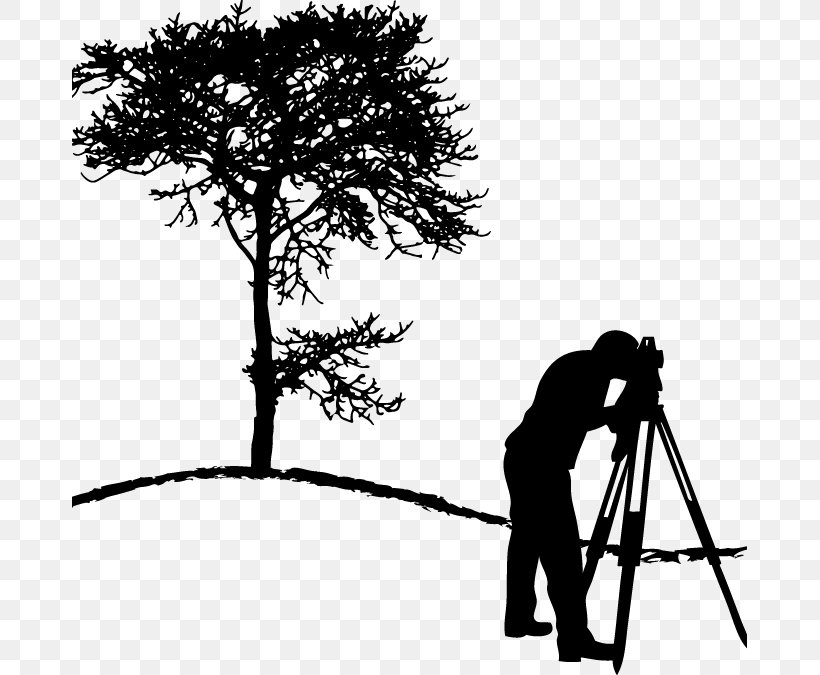 Surveyor Company Clip Art, PNG, 675x675px, Surveyor, Architectural Engineering, Black And White, Branch, Civil Engineering Download Free