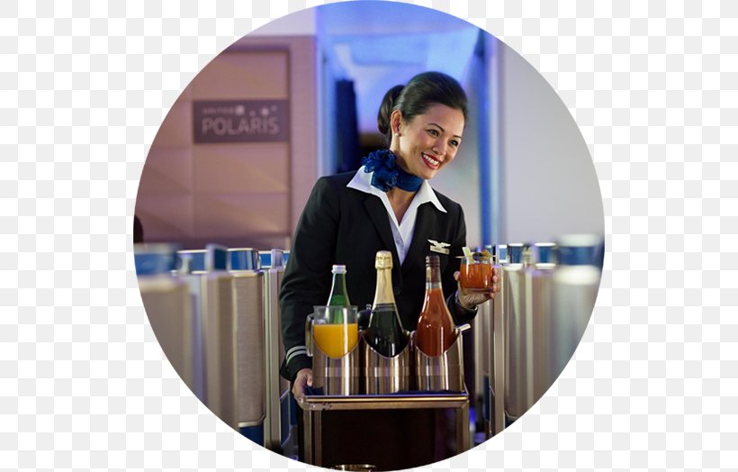 United Airlines Flight Attendant Business Class Delta Air Lines, PNG, 524x524px, United Airlines, Aircraft Cabin, Airline, Alaska Airlines, American Airlines Download Free