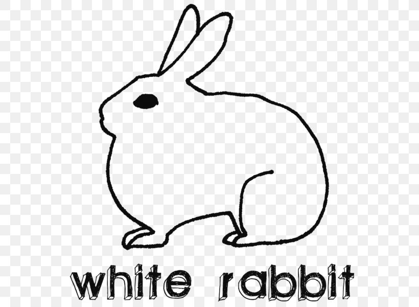 Domestic Rabbit Hare White Rabbit Lionhead Rabbit, PNG, 590x600px, Domestic Rabbit, Animal, Area, Artwork, Black And White Download Free